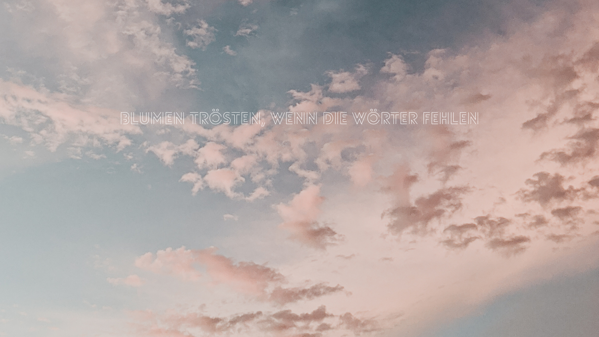 Blumen trösten, wenn die Wörter fehlen